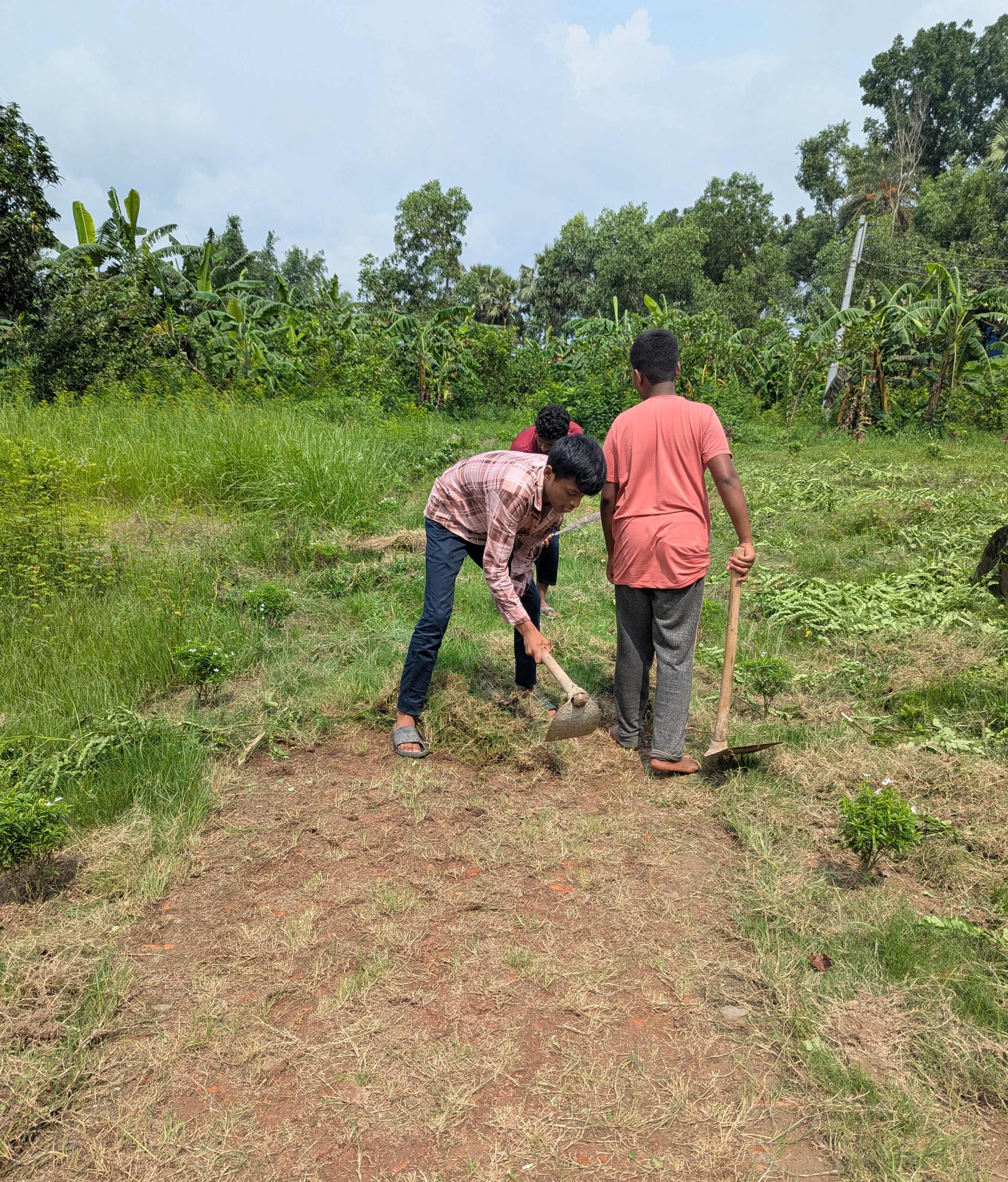 সামাজিক কাজ