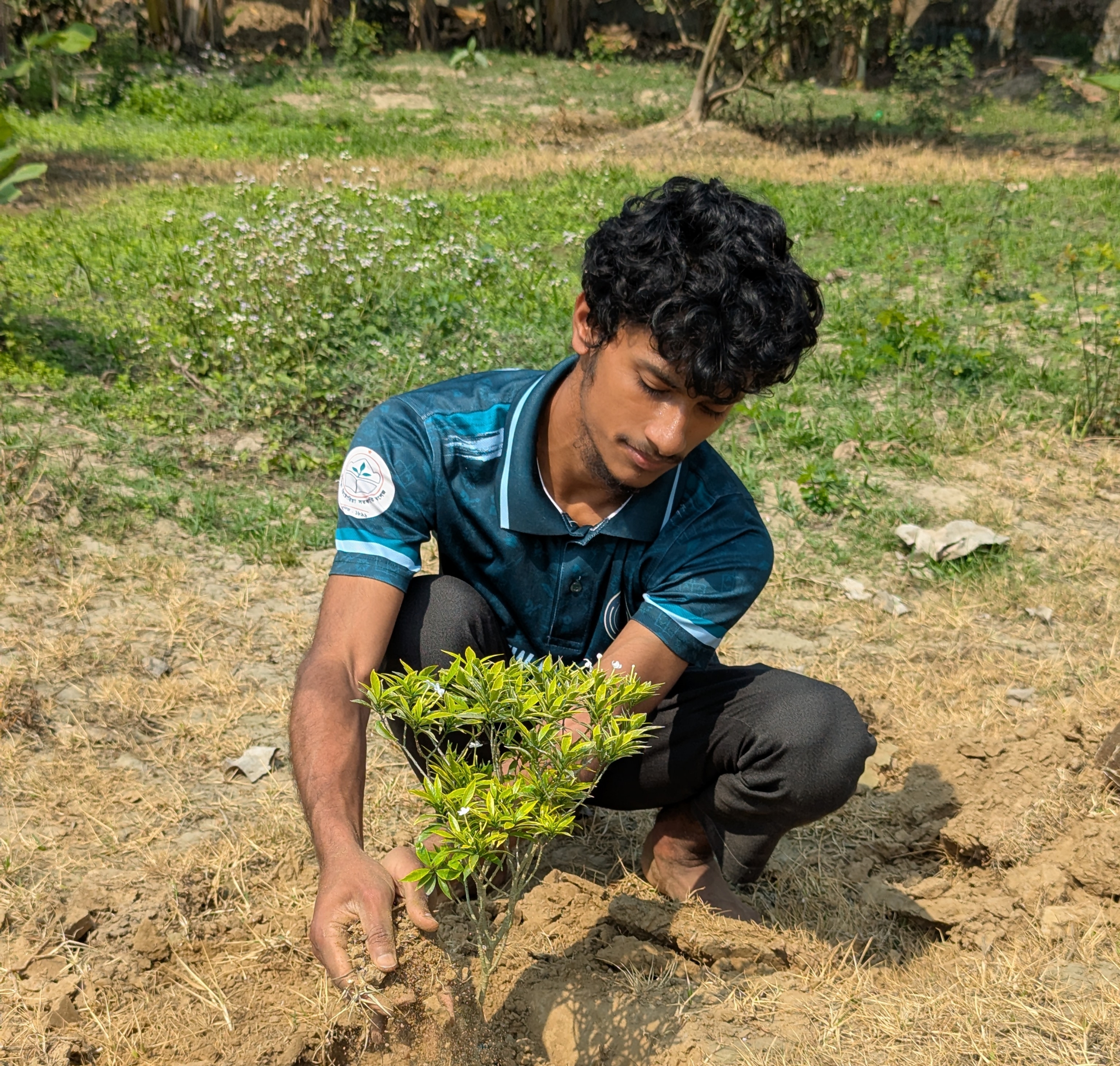 বৃক্ষরোপণ কার্যক্রম